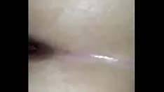 تشغيل الأغنياء الحمار