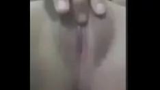 تشغيل البهاسا البكر البكر لفرنك بلجيكي