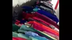 Oynat Orta latin eşek karışımı # 9