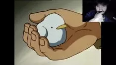 播放 海蒂担心观鸟壳帽 4