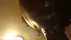 تشغيل مخاطر Bae من شد الجذر تخضع 1