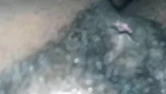 تشغيل إهمال ت. شجرة الأبنوس
