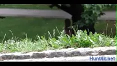 再生 ディンドンガが大好きな甘さふわふわ
