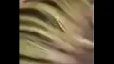 चलाएँ पैंतरेबाज़ी