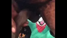 تشغيل خشب الأبنوس شجرة جبهة مورو القوة الرافضة على بي بي سي