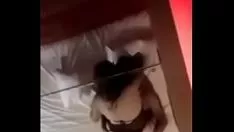 Abspielen Eknifea tan caliente q me pedíaccent;a a gritrockos q le larka el culo.