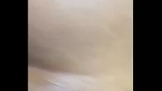 চালান Bbc আবলুস গাছ কিটি-বিড়াল খোঁচাচ্ছে