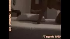 Reproduzir Agradável nascer do sol 1