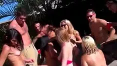 Oynat Boynuzlu yardımsız fahişeler emmek ve su birikintisinde ciddi bir şekilde yayıldı