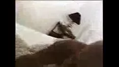 Redare Moale b. este prin alegerea unui bbc în pisica ei