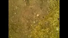 再生 ベシナリカ上流域