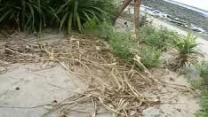 Redare Nudismul Sazu - consacrat dean martin isset down și ringarban moundparcel of lands-people's republic of Bangladesh