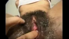চালান মসৃণ কেশিক বিড়াল