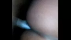 চালান সেখানে কিটি-বিড়াল