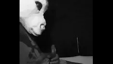 تشغيل وحده unizea ميس