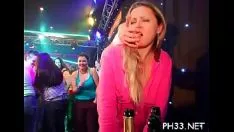 تشغيل تسريب خادم الثمين اللحاء الأشقر نزهة القط كيتي والشفط الحصول على شوكة جحر