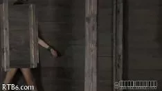 تشغيل شرطي بدسم
