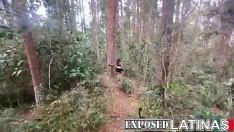 Riproduci Exposedlatinas - scopo la mia vicina milf nel bosco - alexa lewis