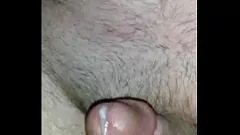 Jouer Cock fait maison amateur taquin au ralenti