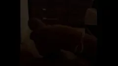 Afspelen Hete amateur -tiener houdt van zuigen en rijdt lul