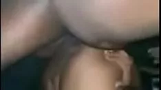 Reproducir Lil fuck pal may