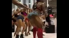 Reproduzir Gmobileanne shotosa trip the light fantastic toe do arnold standard south america represent (2018) com hot missys ao vocalize de mc wm - fulestormm os africanos - pumba la pumba