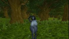 Riproduci Persona femminile Worgen